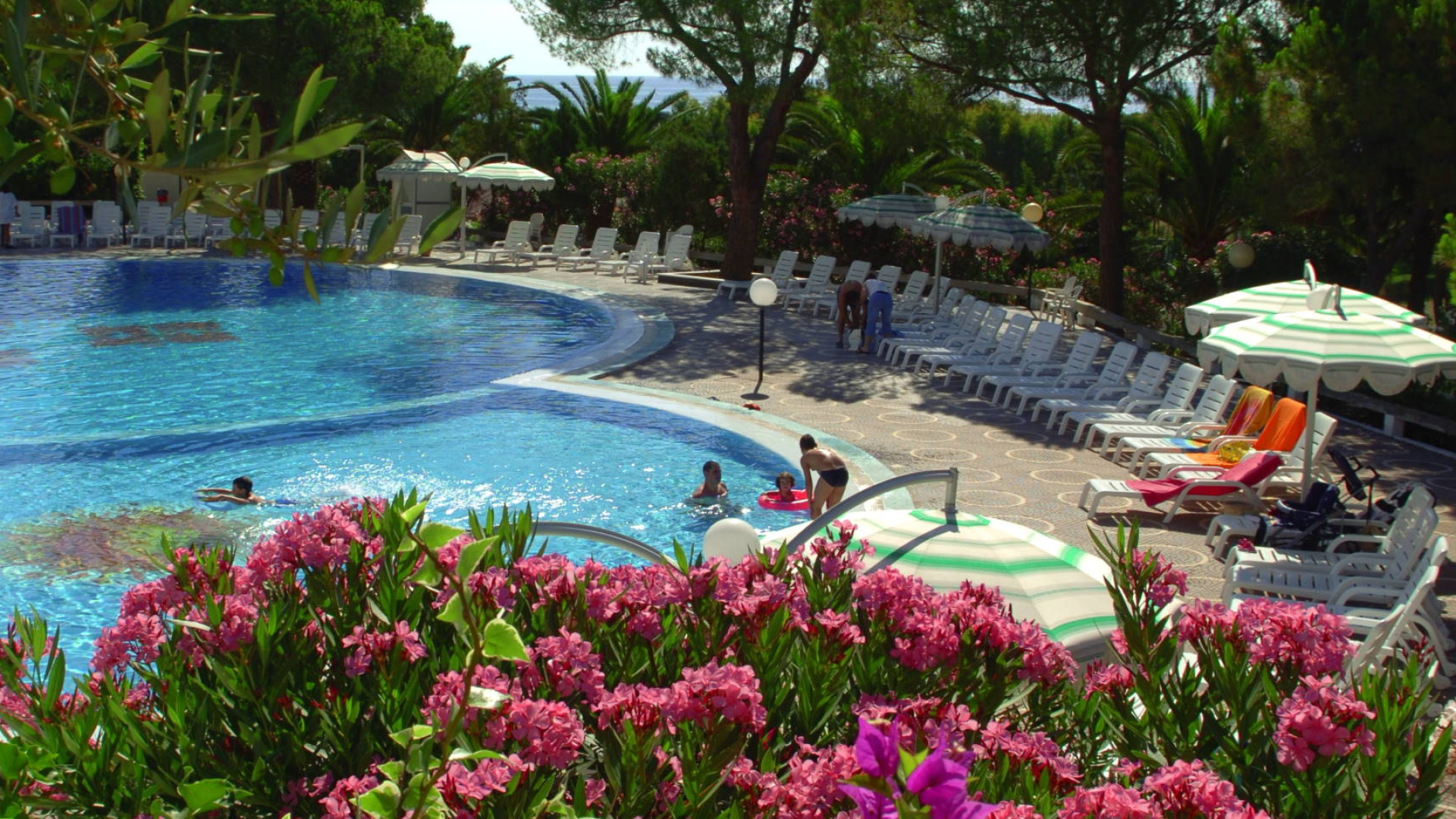 Piscina all'aperto con lettini, ombrelloni e fiori rosa in primo piano.